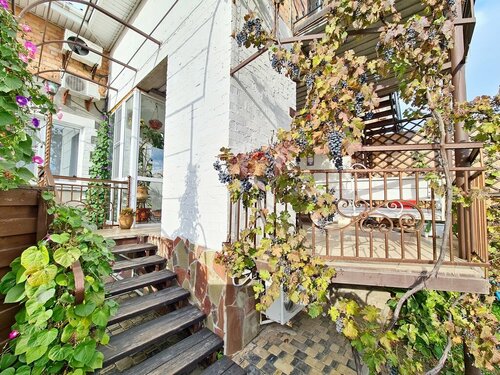 Кубанский дворик  фото 8