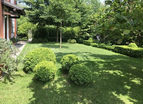 House & Garden