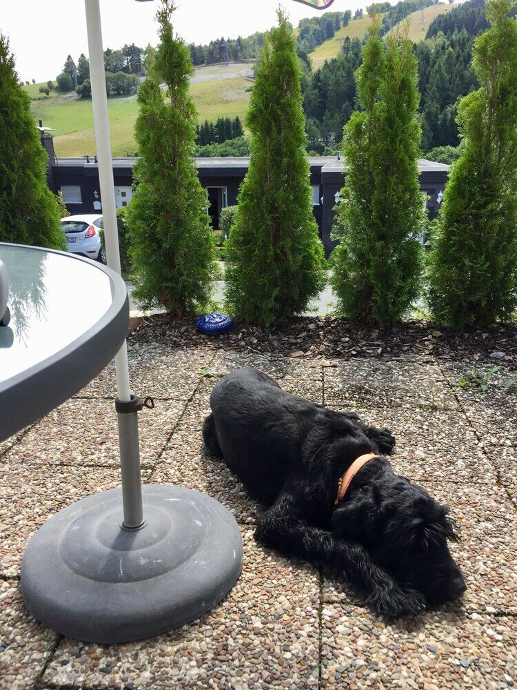 Фото Fewo Corell