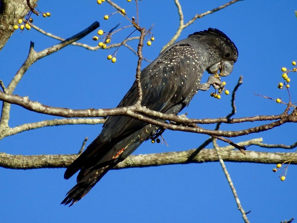 Фото Lagoon Pocket B&b