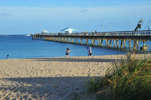 Внешний вид отеля Blue Seas Courtyard в Лодердейл-бай-зе-Си, фото 2