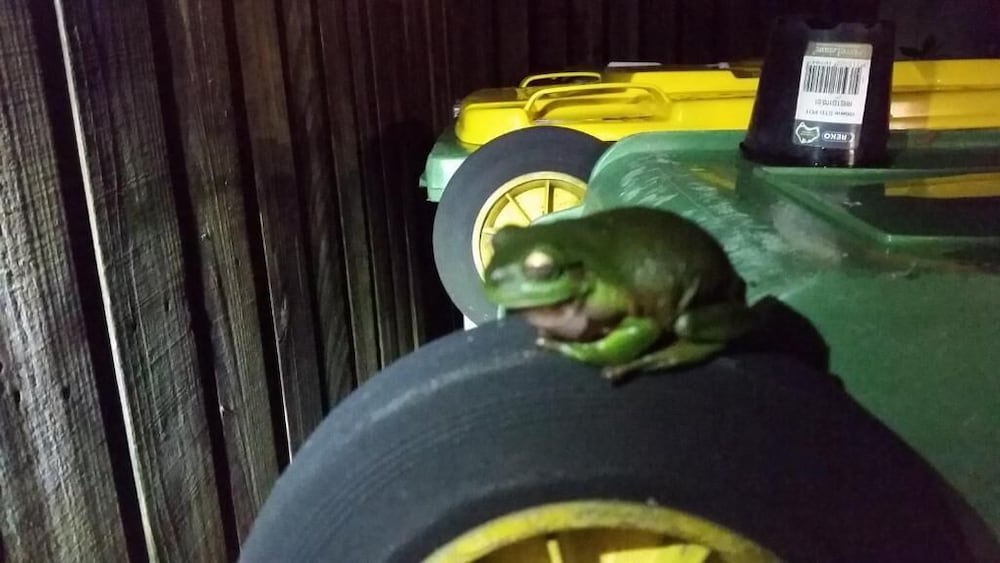 Фото The Beach Place