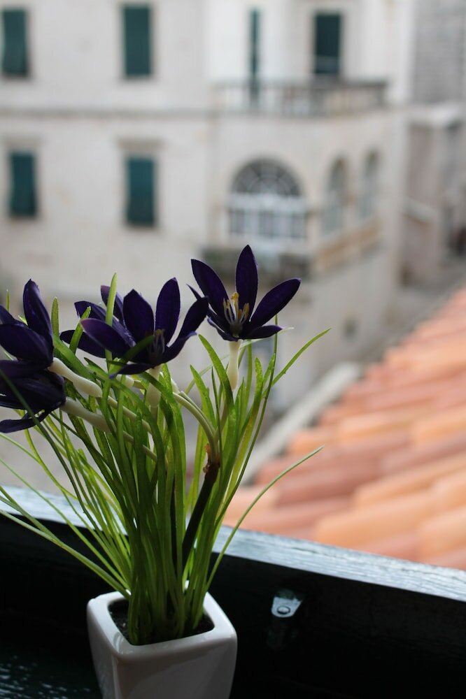 Фото Leonarda Baroque House - Old Town