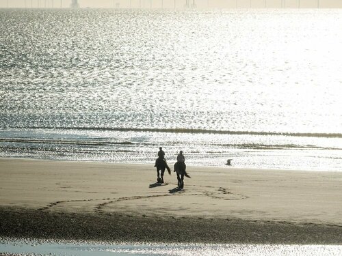 Внешний вид отеля The Wayside and Whisky Barn в Уитбеке, фото 5