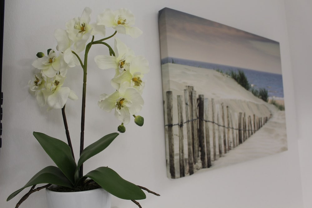 Фото Violeta Hvar