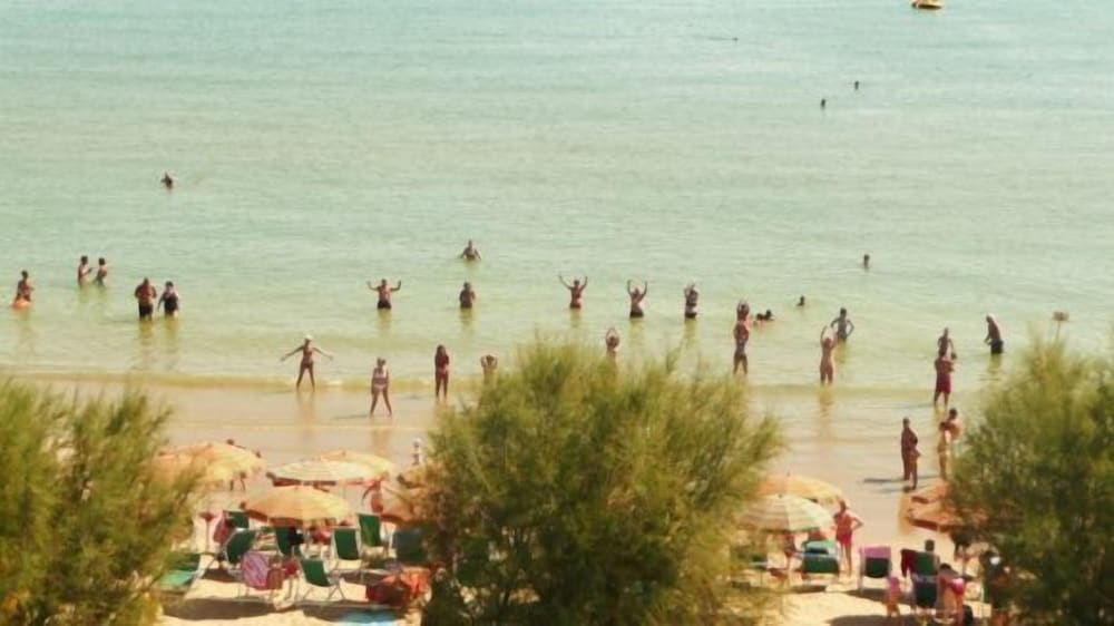 Фото Hotel Narcisi