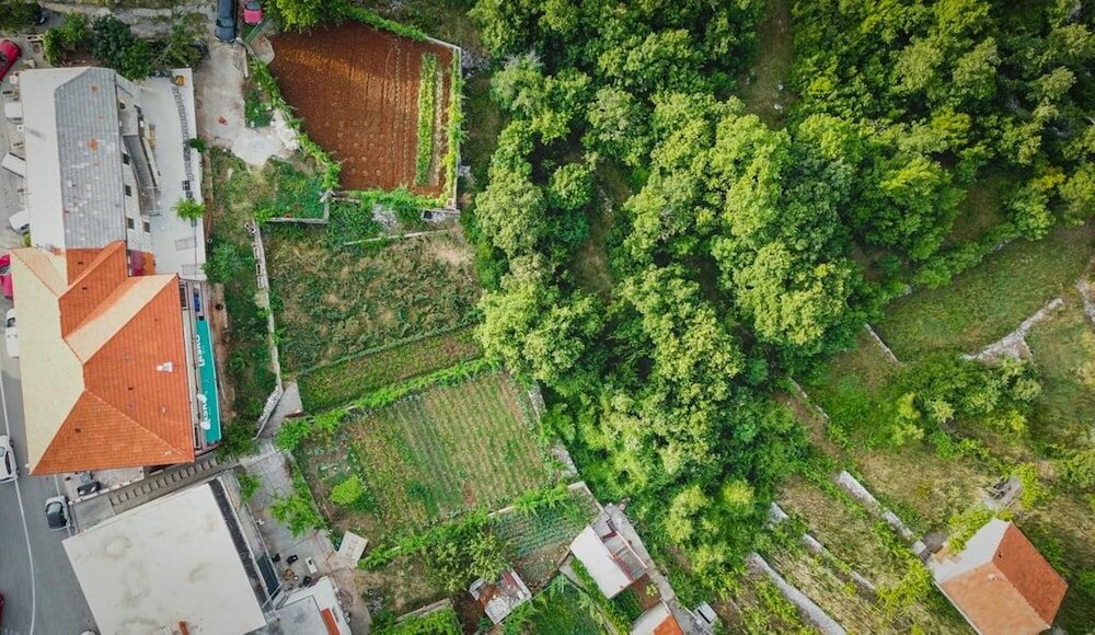 Фото Apartment Vendi