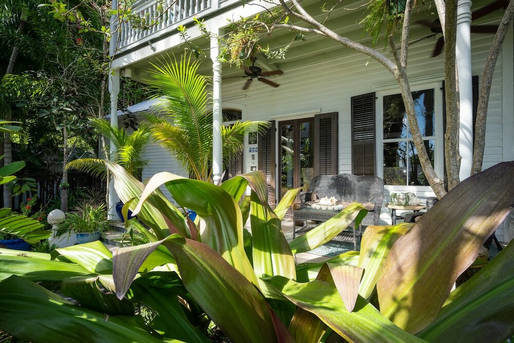 Фото The Mermaid & Alligator