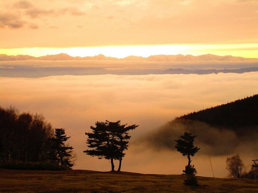 Фото Okuyama Pension Radish