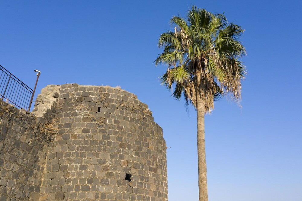 Фото Dona Castle