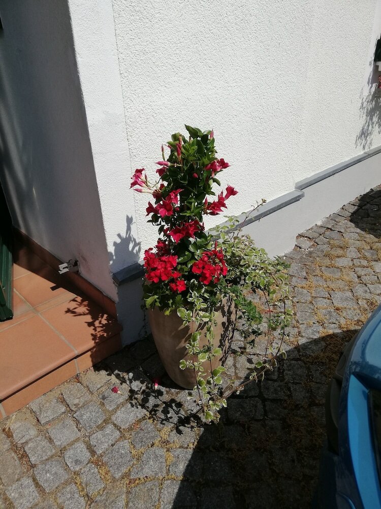 Фото Hotel Stadt Olbernhau