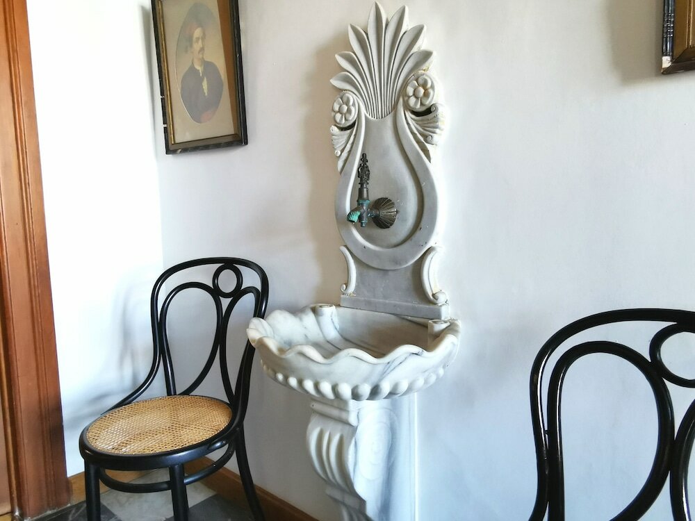 Фото Cotommatae Hydra 1810