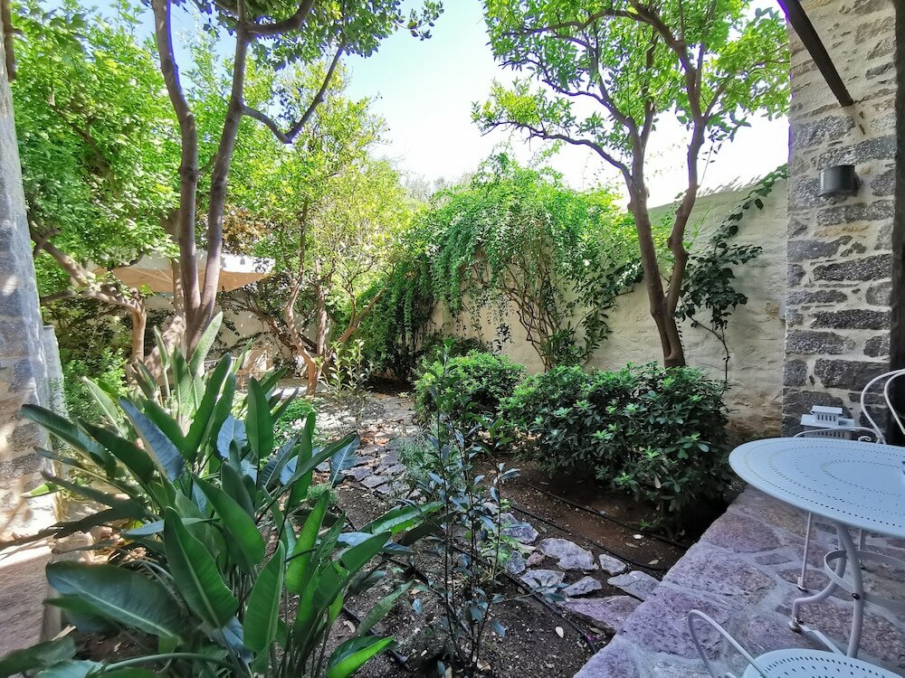 Фото Cotommatae Hydra 1810