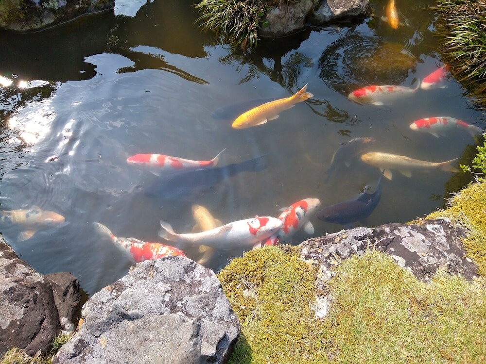 Фото Nouka Minshuku Kajika