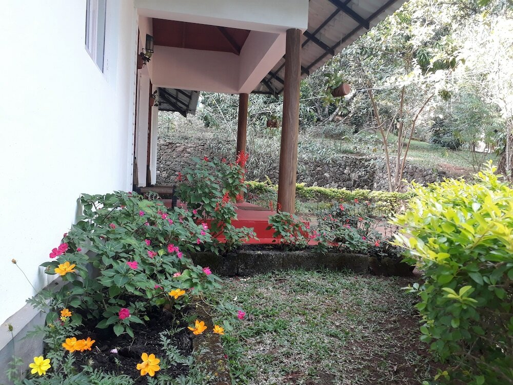 Фото Ambady Estate