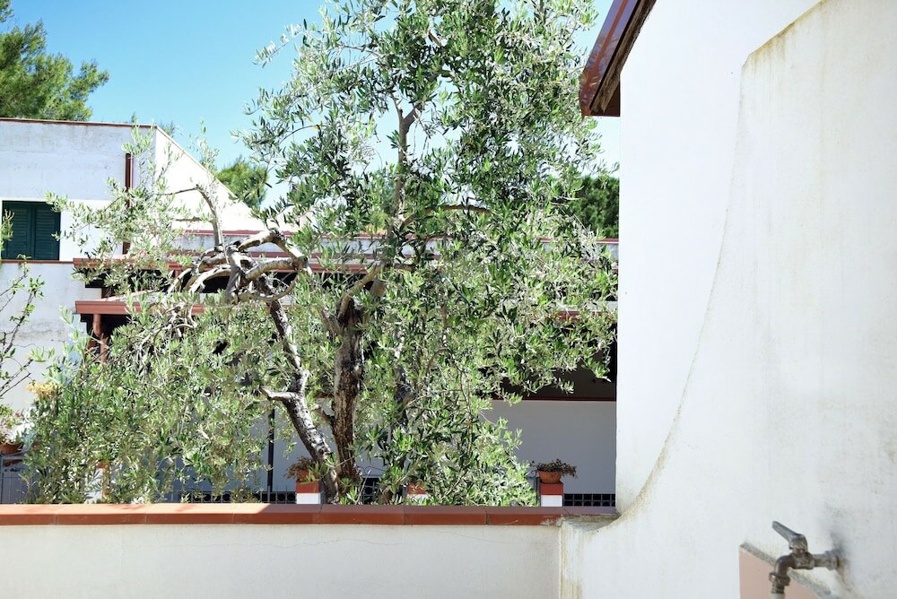 Фото Peschici Mare