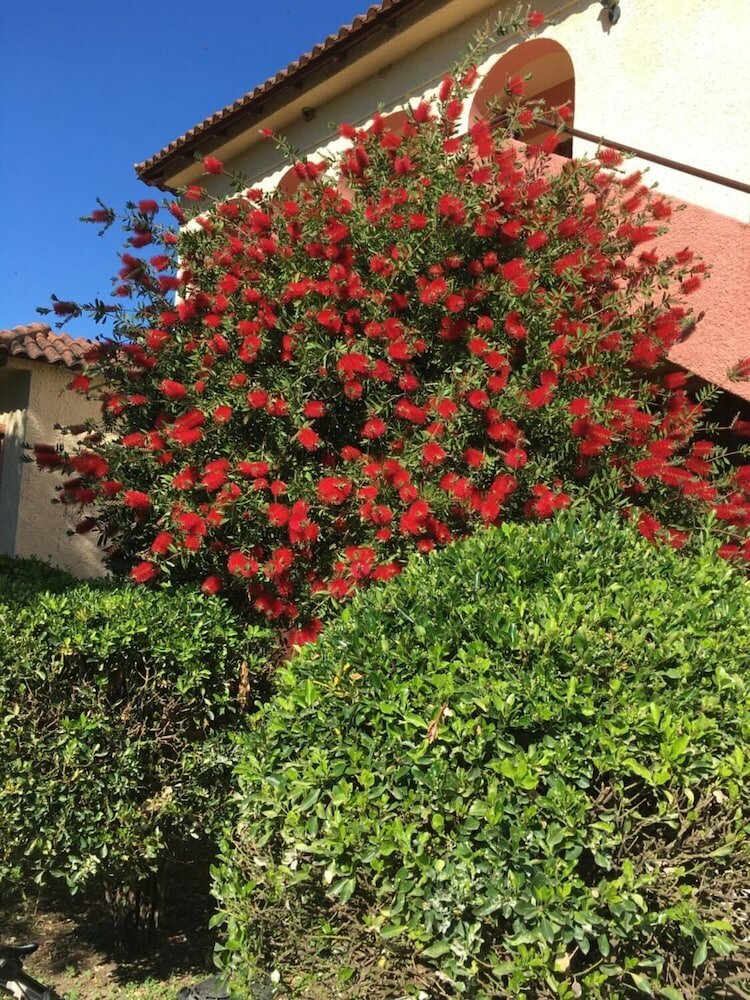 Фото Green Corner Villas