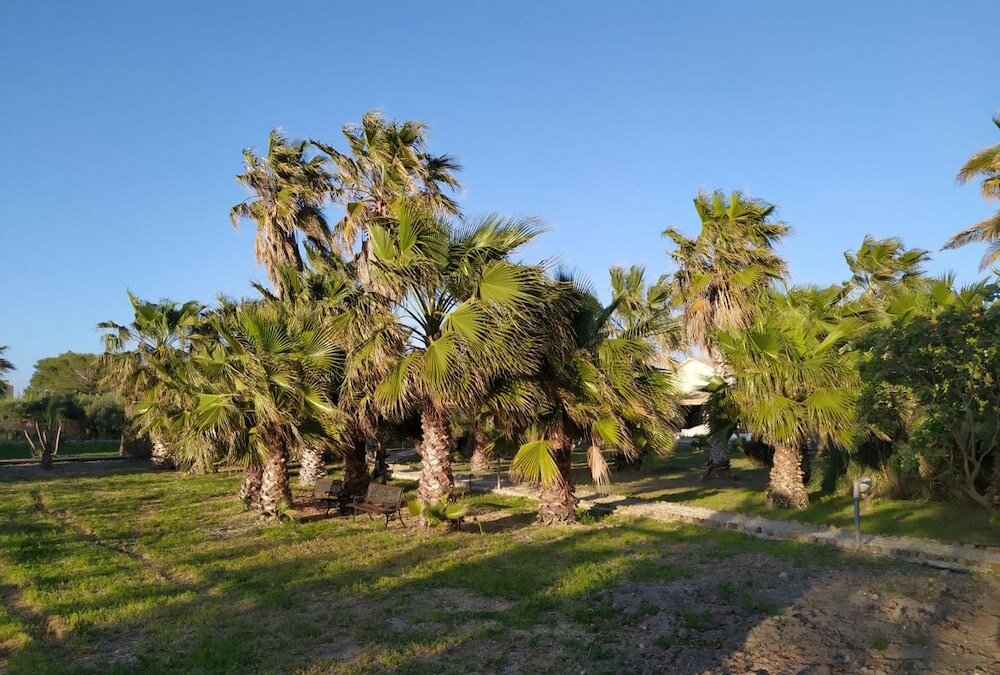 Фото MammaColette