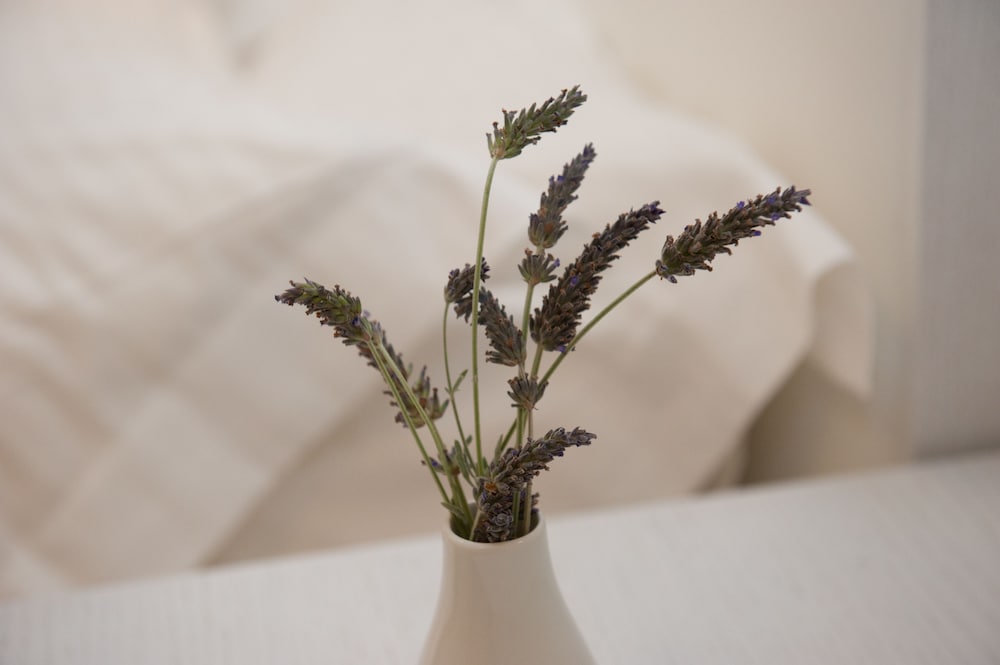 Фото Aphrodite Samos Suites