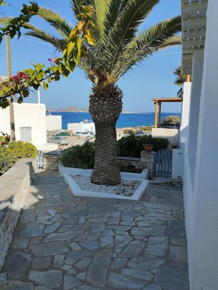 Фото Despina's Mare