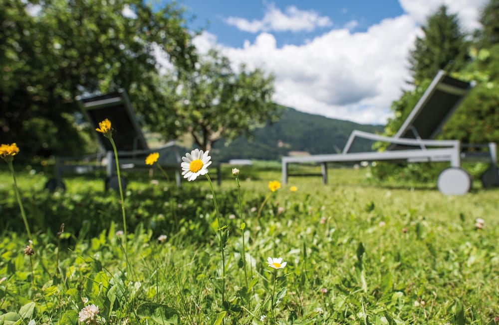 Фото Alpinhotel Keil