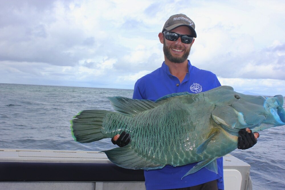 Фото Volivoli Beach Resort