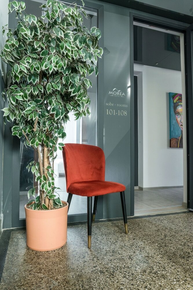 Фото Hotel Morea