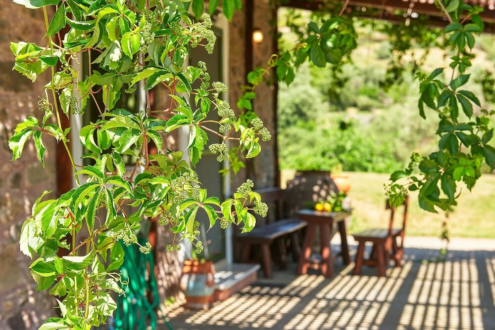 Фото Authentic Cottage