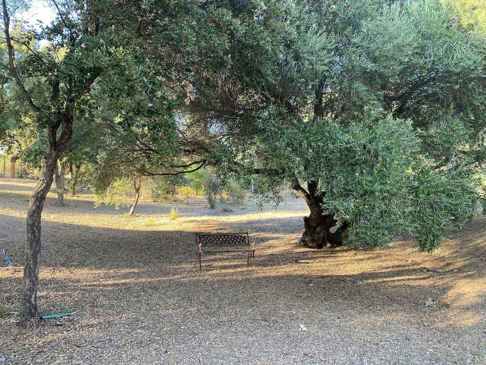 Фото Li Paduleddi Country Guest House