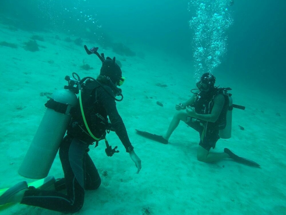 Фото Yellow Duckling Hostel