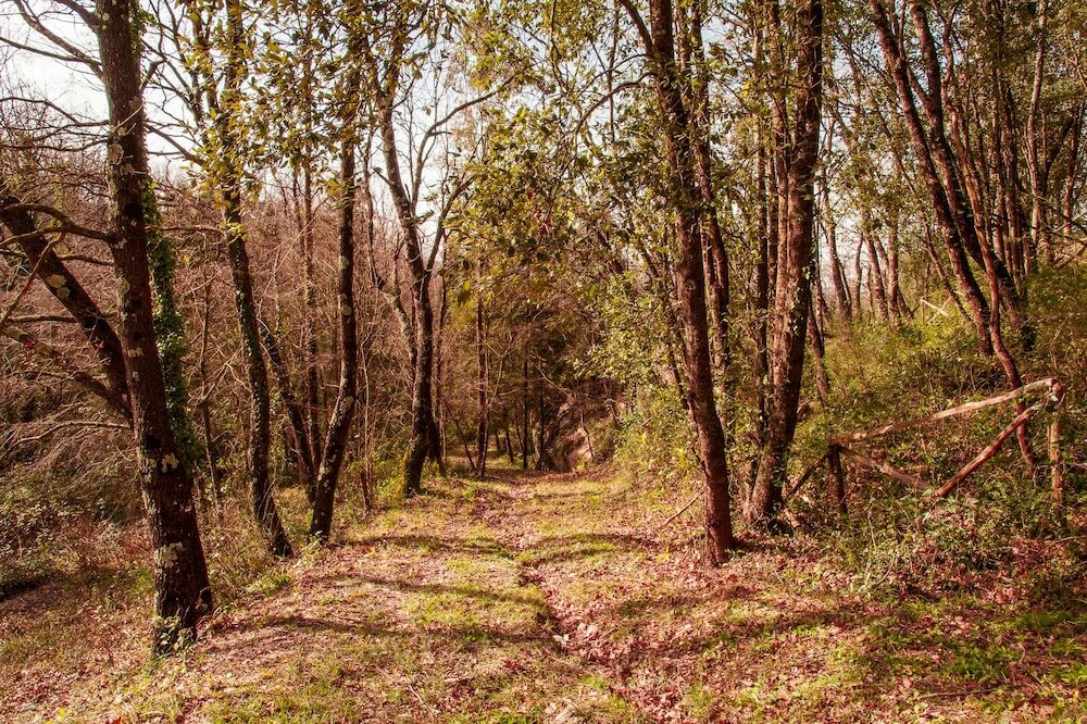 Фото Villa De Luccheri