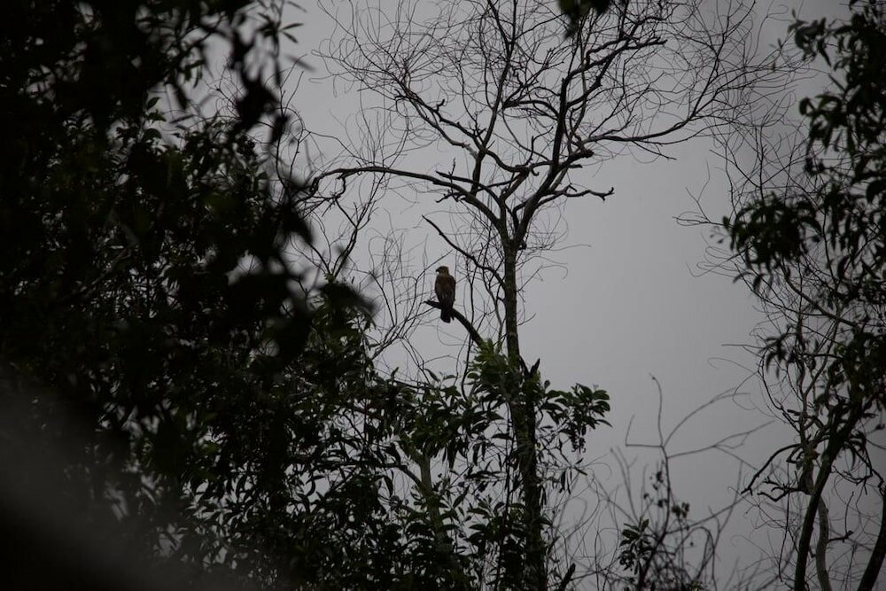 Фото Bedda Eco Cottages