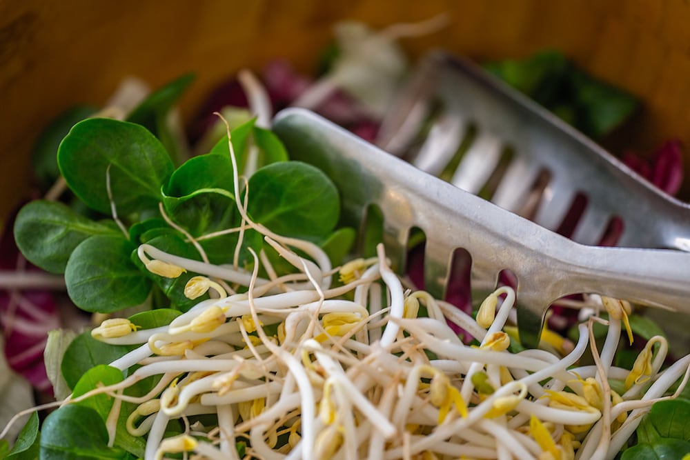 Фото Agriostello delle Langhe