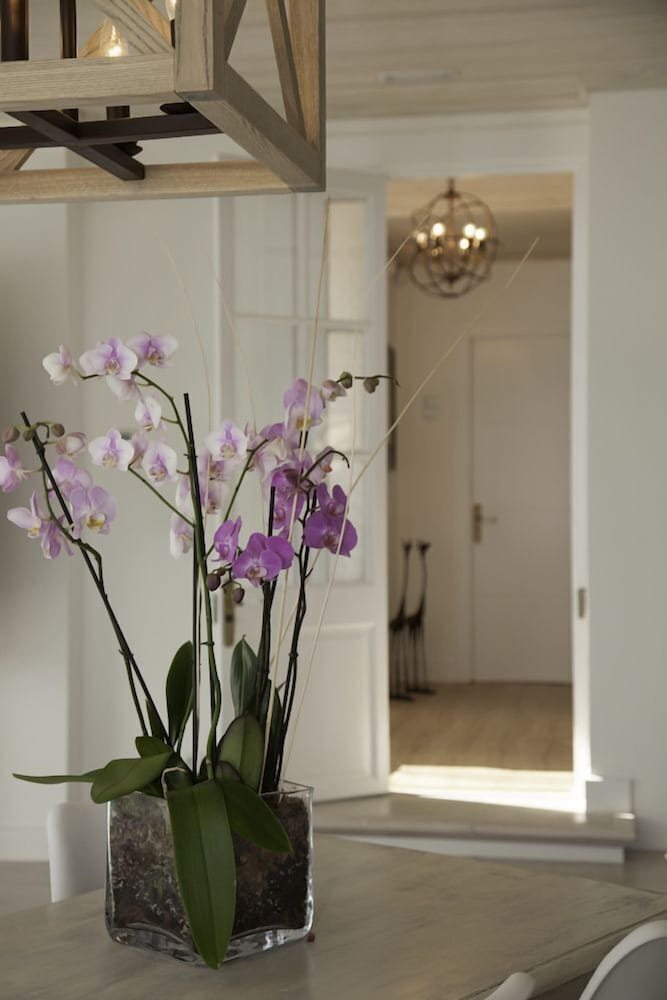 Фото Es Cel de Begur Hotel