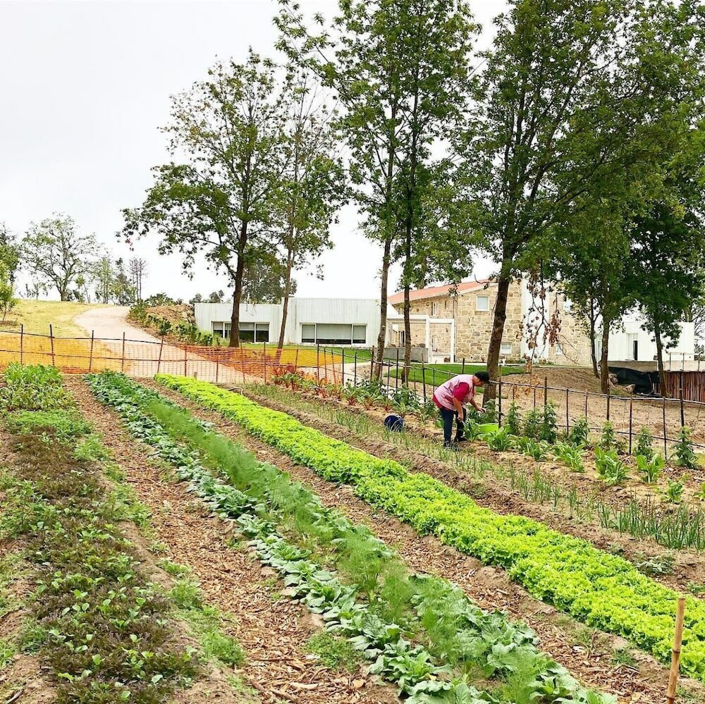 Фото Hotel Nande