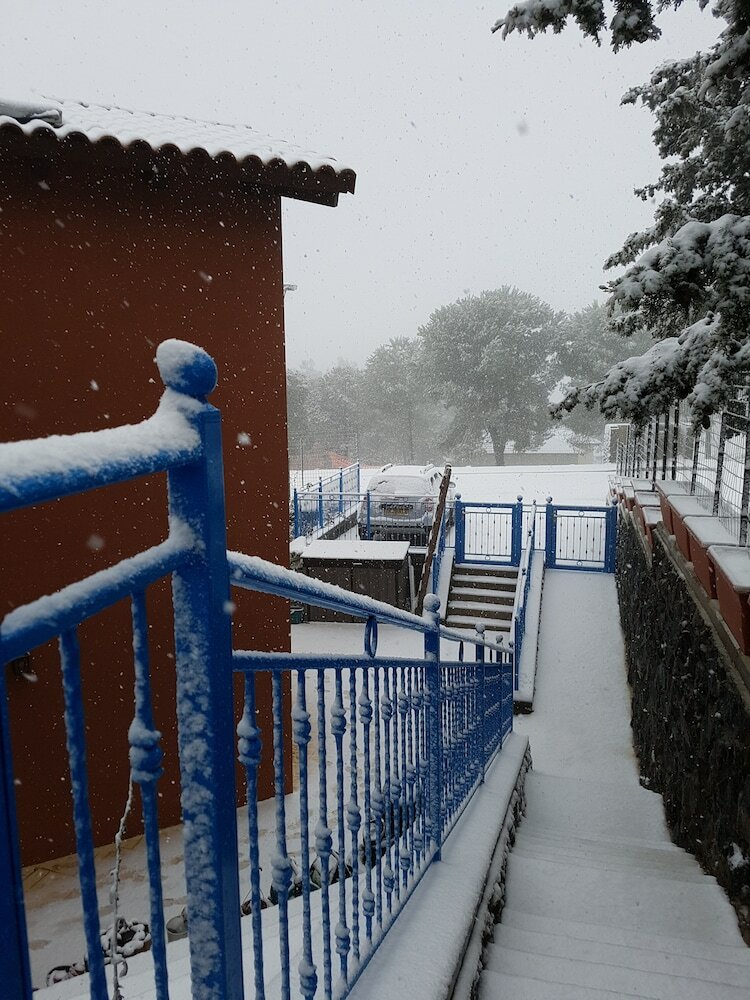 Фото Zimmer Cigale