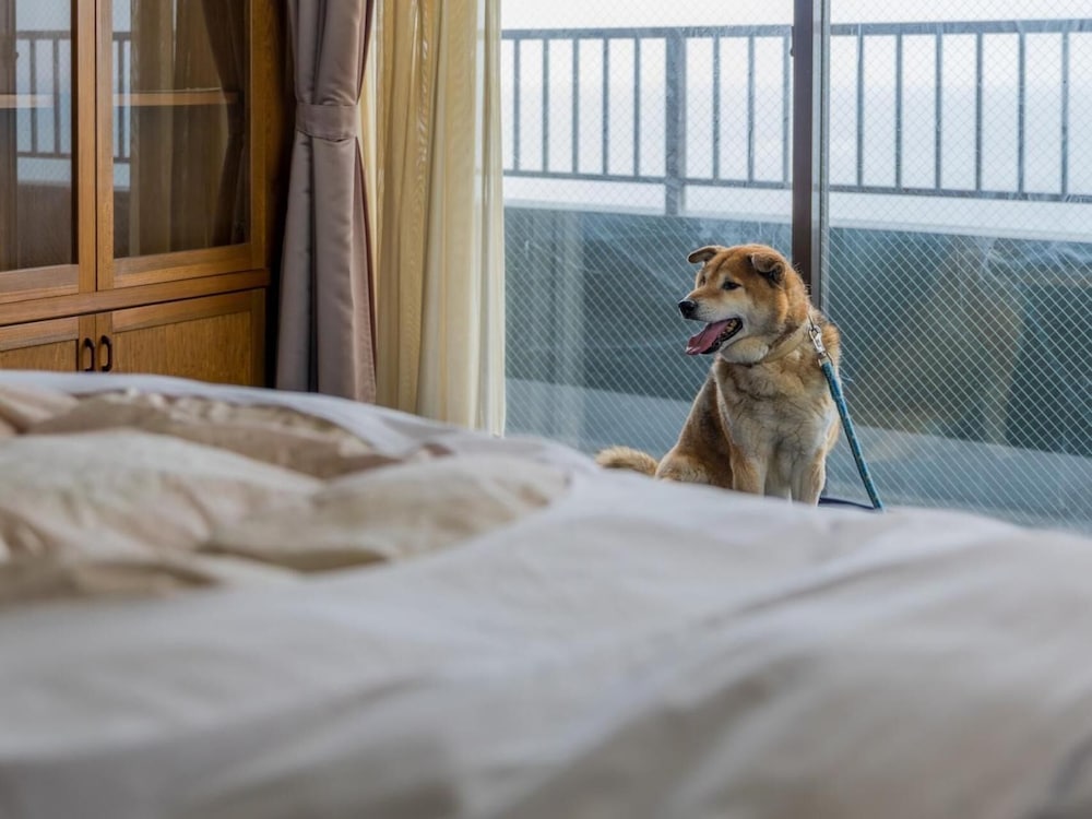 Фото Guesthouse Hamachaya