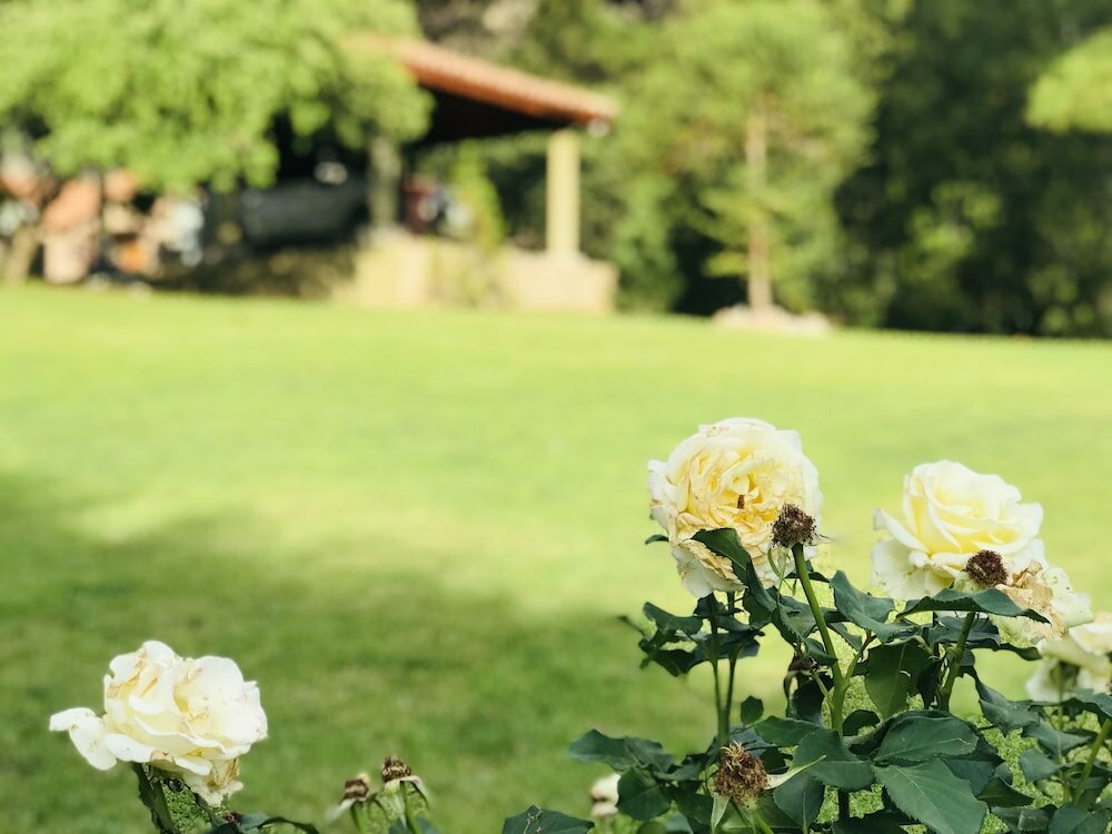 Фото Casa Chumamaya