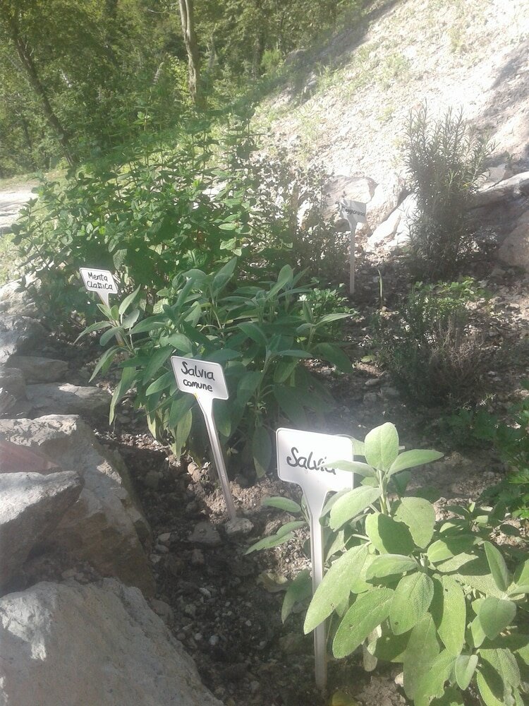 Фото Rifugio Escursionistico Cascina Porro