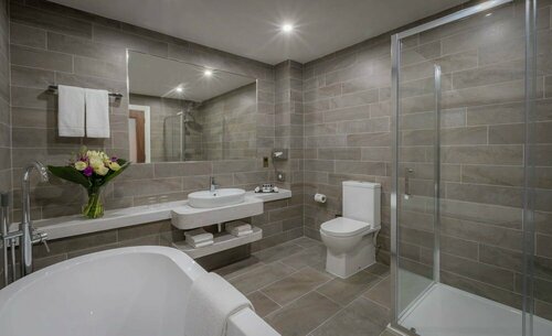 Гостиница Castletroy Park Hotel Suites в Лимерике