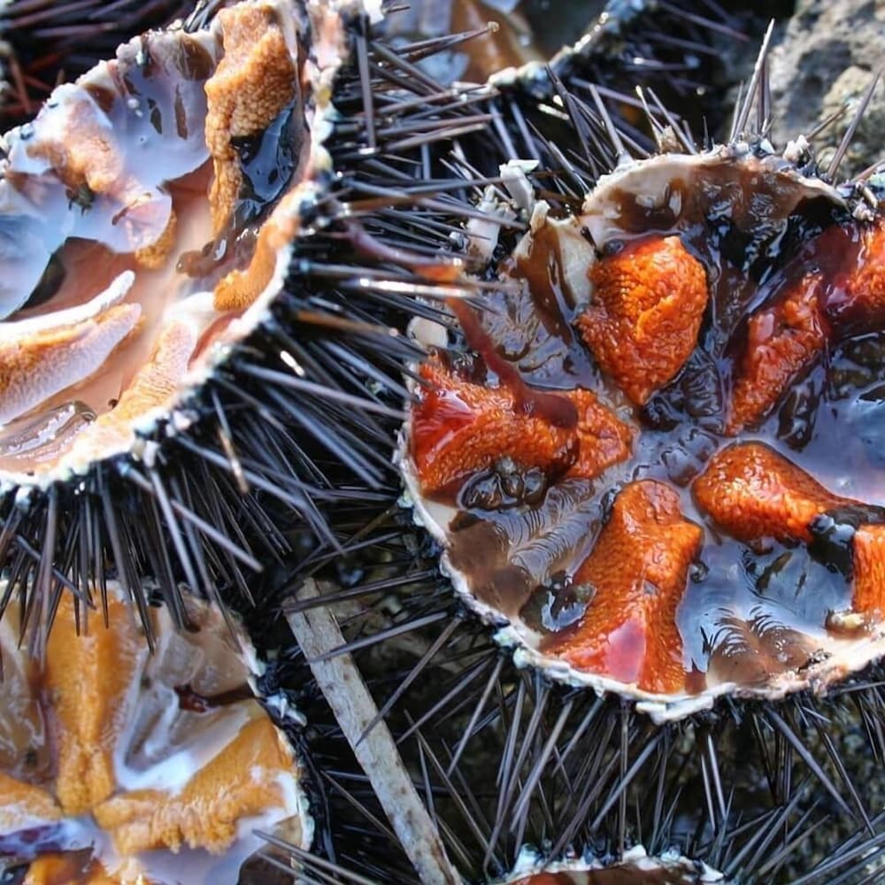 Фото B&b La Marianna