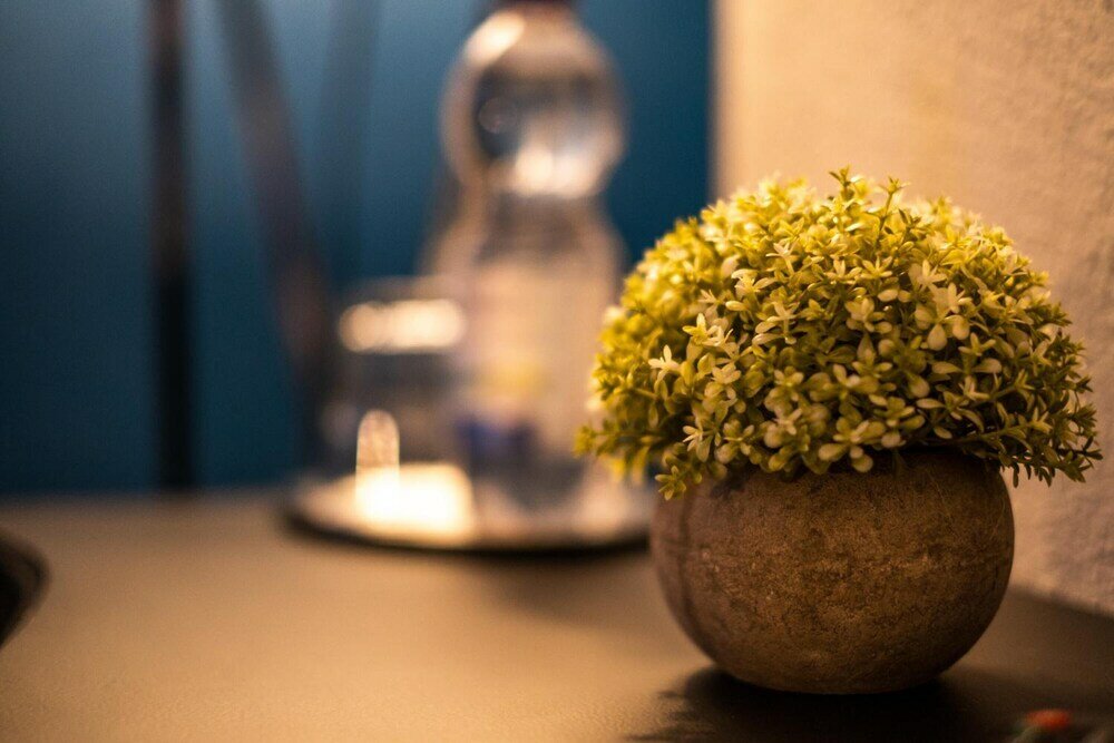 Фото Engel Hotel und Diner