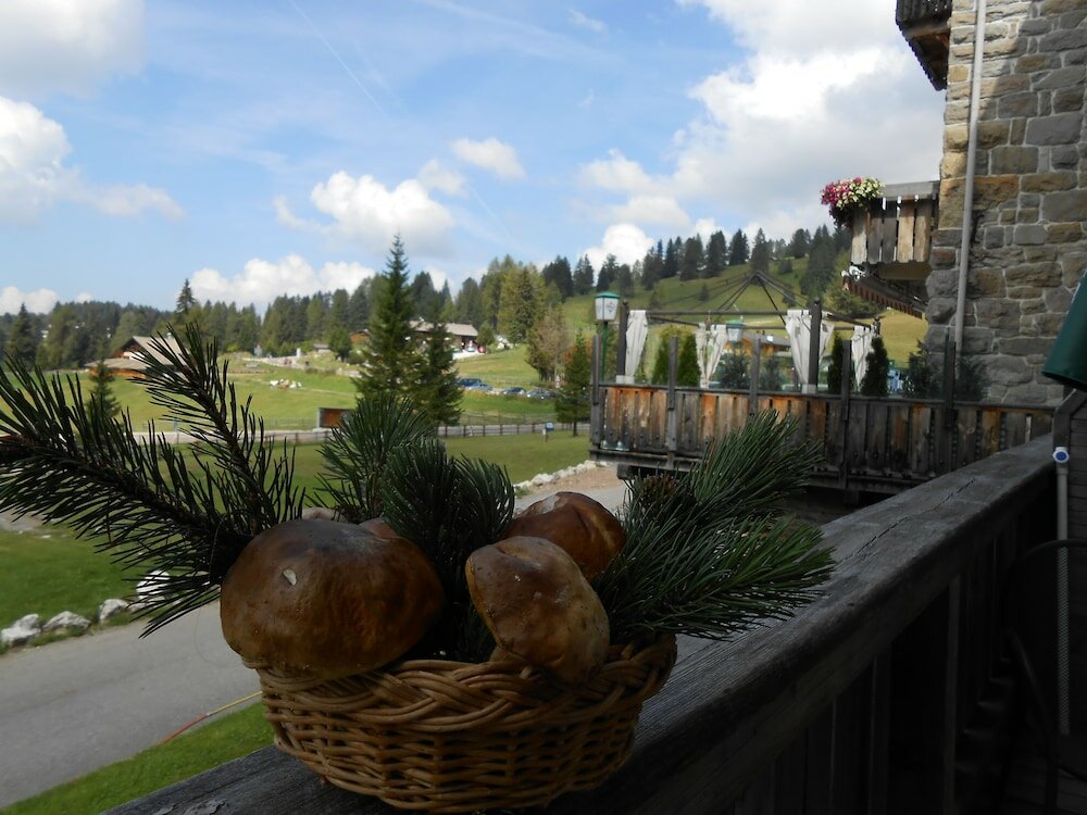 Фото Hotel Castel Latemar