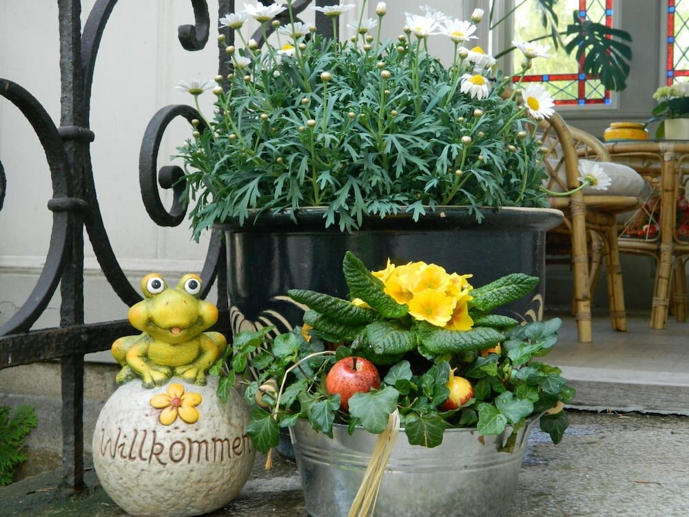 Фото Pension Haus Marga