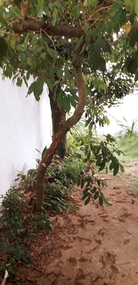 Фото Villa Subuthi