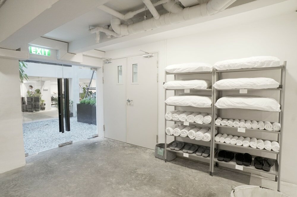 Фото Chocolate Box Mint