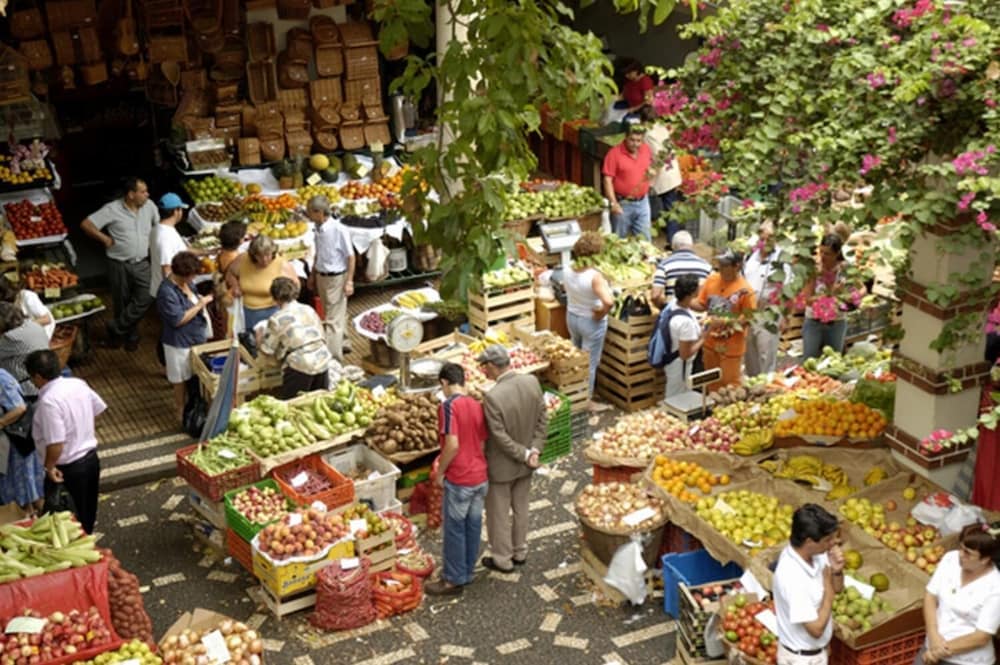 Фото Cute Studio in Funchal