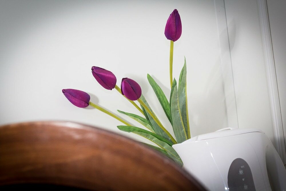 Фото Hotel Ariston