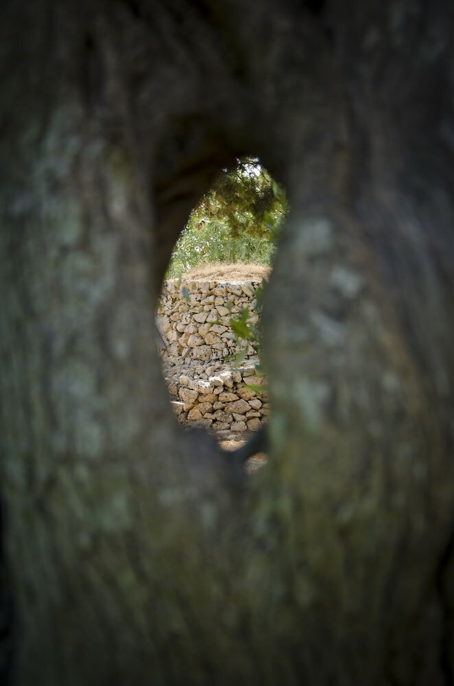 Фото Villa Nisapiro'