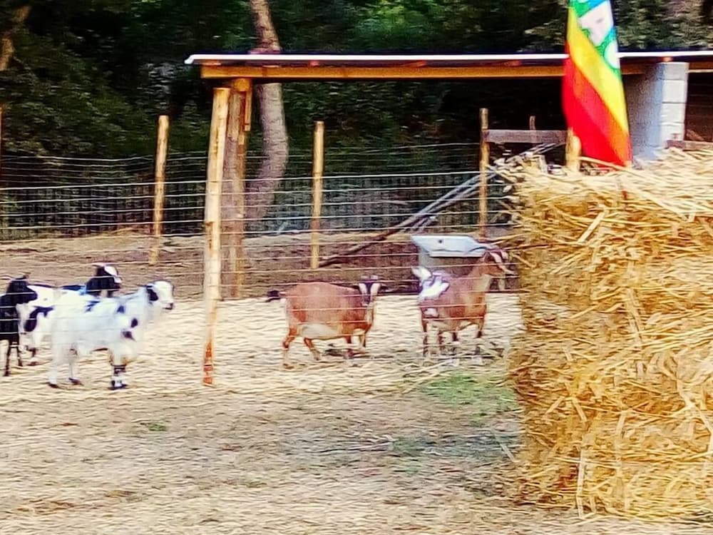 Фото Antica Conca d'Oro